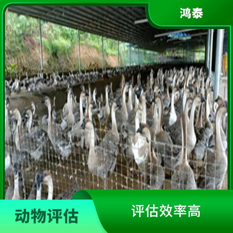 西藏畜牧养殖损失价值评估与市场因素分析 以鸡鸭鹅养殖及拆迁评估为例